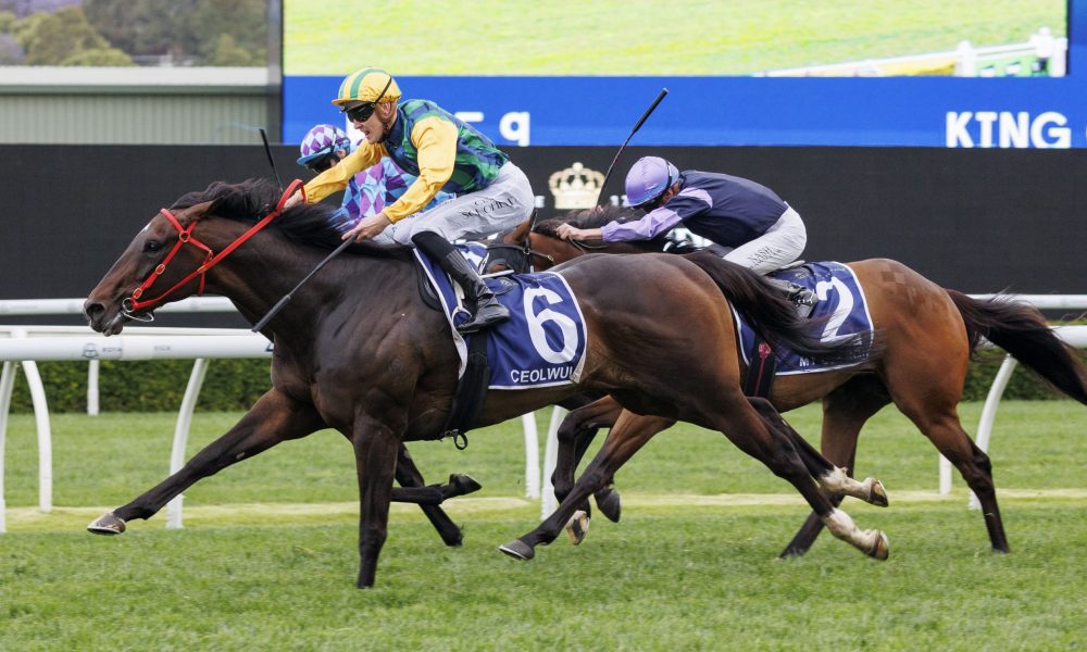 動態更是成 動態更是成