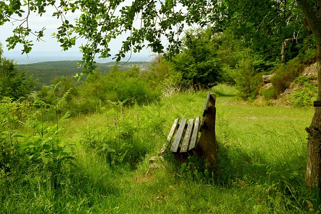 的重要组成 的重要组成
