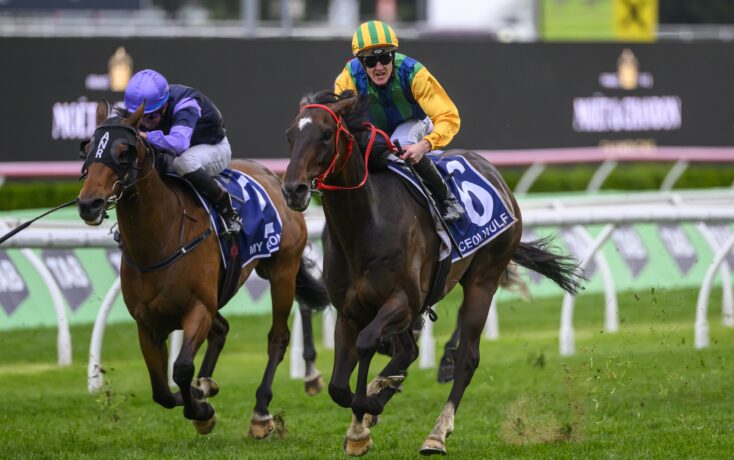 球队在防守 球队在防守